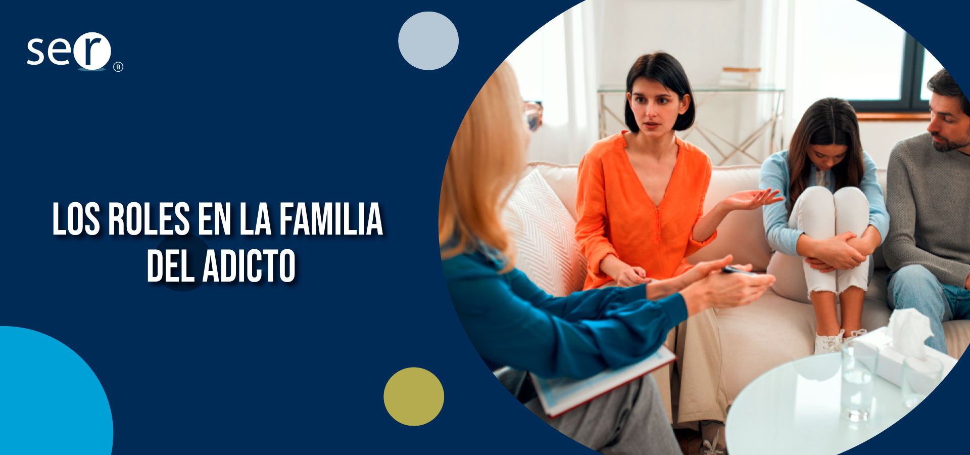 roles en la familia del adicto